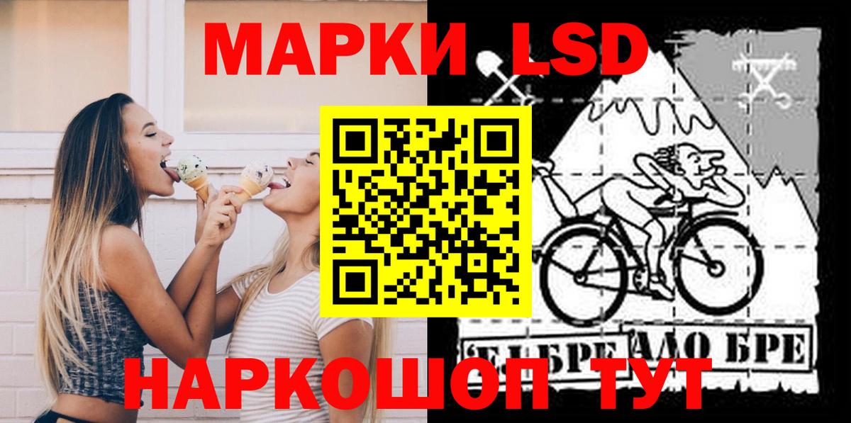 МЕФ Вичуга